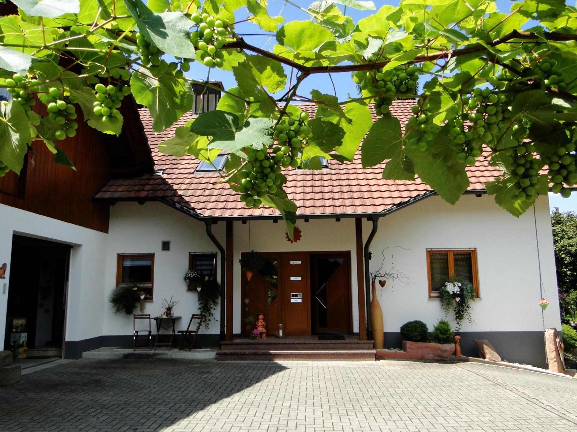 Ferienwohnung Hotte'S Huette Ettenheim Exterior photo